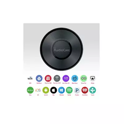 IEAST AUDIOCAST M5 -24BIT ODTWARZACZ SIECIOWY BASIC